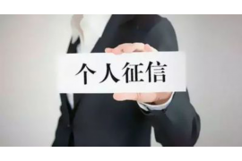 乐东专业要账公司